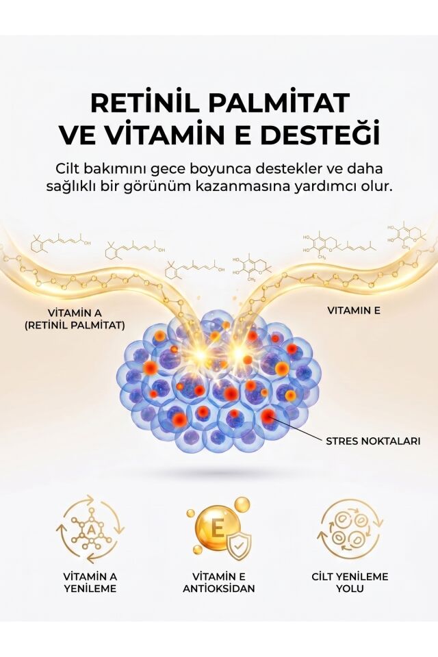 Acgun Sivilce ve Akne Karşıtı Onarıcı Gece Kremi | Yüz Leke Kremi | Salisilik Asit | 30 ml
