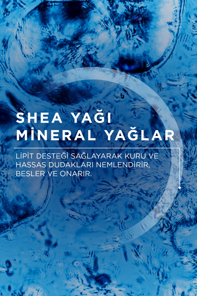 Atoderm Lip Stick Kuru ve Hassas Dudaklar Shea Yağı İçeren Besleyici Nemlendirici Dudak Kremi 4 gr